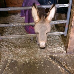 Meet your Posher, Jayne